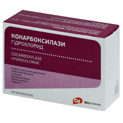 Світлина Кокарбоксилази гідрохлорид ліофілізат для розчину 50 мг №10